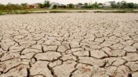 Empat Kabupaten Ini Berstatus Awas Kekeringan Meteorologis, Puluhan Lainnya Siaga