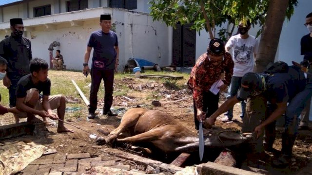 PDAM Makassar Sembelih 20 Hewan Kurban