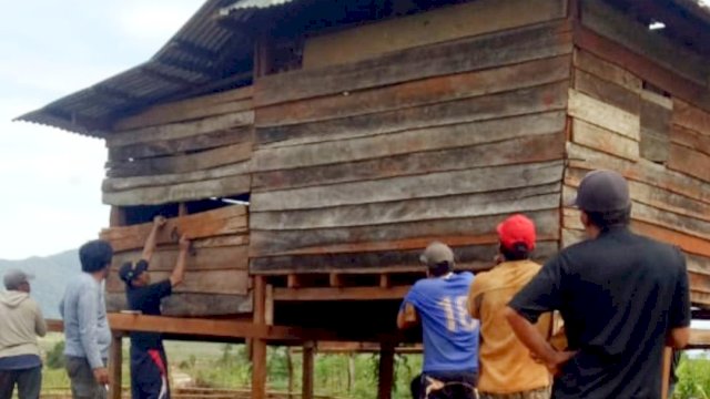 Rumah warga Desa Ranteangun, Abbas Lamude di pindahkan pemilik tanah akibat beda pilihan di Pilkada Luwu Timur. 
