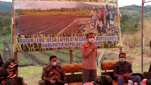 Nurdin Takjub Lihat Budidaya Bawang Merah di Selayar