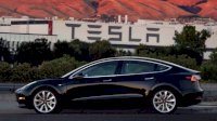 Tesla Diajak Berinvestasi Mobil Listrik di Indonesia