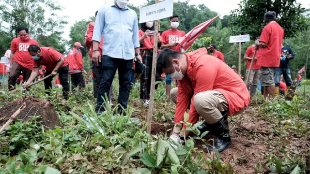 Bupati Gowa Adnan Purichta Ichsan menanam pohon di Kecamatan Manuju, Gowa, Sabtu (23/1/2021).