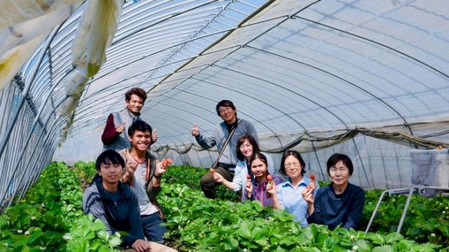 Sukri Andi (tengah, kiri) petani milenial Rongkong yang kini budidaya strawberry di Prefecture Gunma, Jepang.