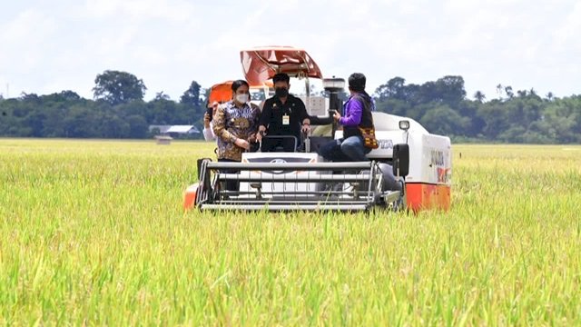 Menteri Pertanian Syahrul Yasin Limpo (SYL) melakukan panen raya padi di Kabupaten Maros, Sabtu, 20 Maret 2021.