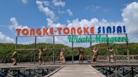 Wisata Hutan Mangrove Tongke-Tongke Penyumbang PAD Terbesar