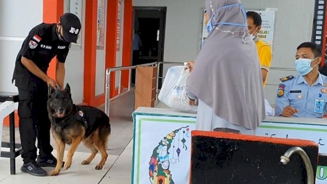 Anjing pelacak K-9 milik BNN Provinsi Sulsel disiagakan di depan pintu masuk untuk memeriksa barang titipan bagi narapidana yang akan dibawa masuk ke Rumah Tahanan Negara (Rutan) Kelas 1 Makassar.