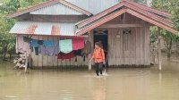 322 Rumah Terendam Banjir di Lutra, BPBD Sulsel Salurkan Bantuan