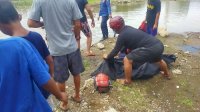 Insiden 2 Remaja Tenggelam di Kubangan Stadion Mattoanging, Kasatpol PP: Besok Dilakukan Penimbunan