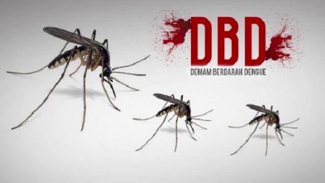 Waspadai Demam Berdarah! Dinkes Sulsel: Trend Peningkatan Kasus di Makassar dan Sidrap