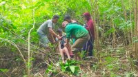 Empat Hari Hilang, Pria Ini Ditemukan di Hutan, Kondisinya Sudah Lemas Tak Berdaya