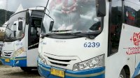 Damri Tambah Armada di Luwu Utara Tahun Depan, Ini Rutenya