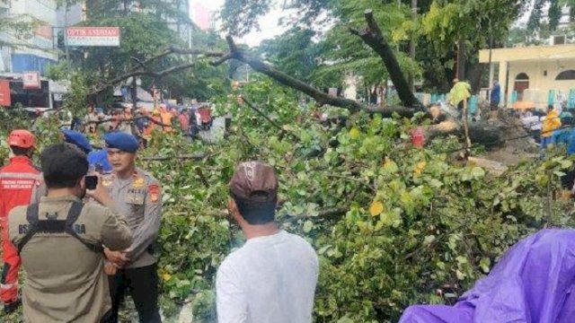 Pohon tumbang di depan RS Labuang Baji Kota Makassar dan menimpa tiga mobil yang terparkir. (int)