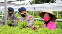 Satbrimob Polda Sulsel Panen Sayur Hidroponik dan Ikan Nila, Dibagikan ke Masyarakat