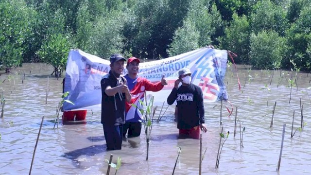 Rudianto Lallo Tanam Ratusan Pohon Mangrove di Desa Wisata Untia