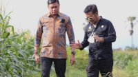 Gowa Diharap Jadi Percontohan Pengembangan Demplot Jagung