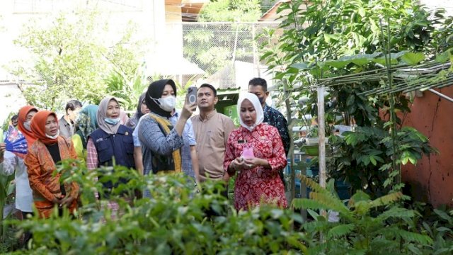 Tinjau Lorong Wisata di Jalan Sungai Pareman, Wawali Pastikan Kebutuhan Kelompok Tani Terpenuhi