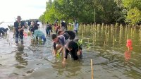 DKP Sulsel Tanam 10 Ribu Bibit Mangrove di Borimasunggu Pangkep