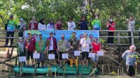 International Mangrove Day, DKP Sulsel Tanam 38 Ribu Batang Mangrove di Maros