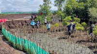 DKP Sulsel Tanam Mangrove di Sejumlah Kabupaten/Kota
