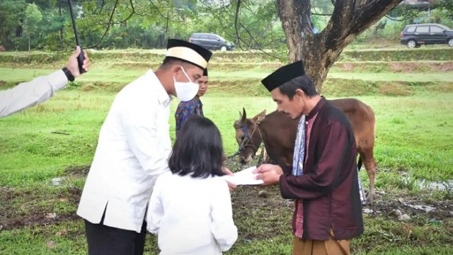 Bupati Sinjai Andi Seto Asapa menyerahkan hewan kurban secara simbolis kepada Pengurus Masjid Islamic Center Sinjai.