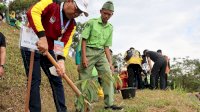 Bawa Bibit Pohon Durian dari Makassar, Danny Pomanto Tanam di Kebun APEKSI Padang