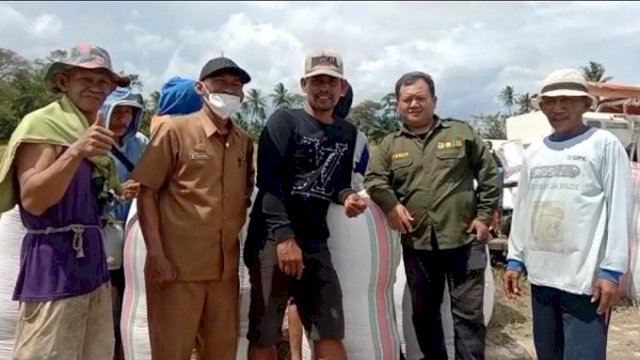 Program Mandiri Benih Dinilai Tingkatkan Hasil Pertanian di Sidrap