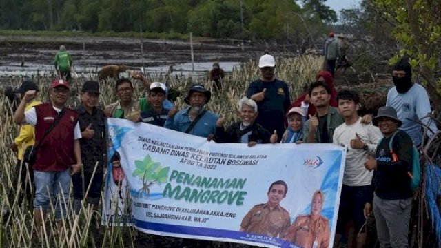 40 Ribu Batang Mangrove Ditanam di Pesisir Wajo