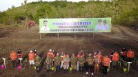 Kembalikan Kejayaan Sutera, Gubernur Andi Sudirman dan Bupati Soppeng Tanam Bibit Murbei