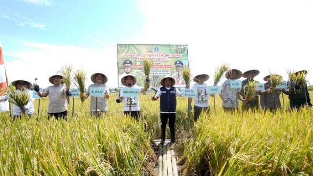 Meningkat Signifikan, Gubernur Andi Sudirman Panen Mandiri Benih di Desa Palakka