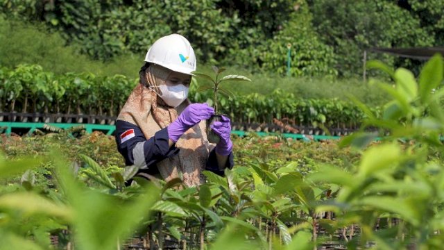 PT Vale Cetak Rekor Terendah Dalam Penggunaan Energi