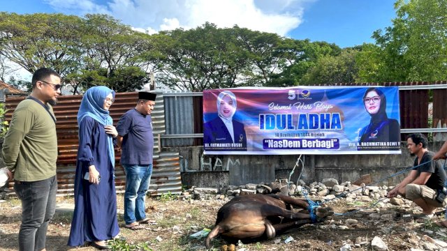 Ketua DPC NasDem Makassar, Andi Rachmatika Dewi didampingi Sekretaris, Ari Ashari Ilham menyaksikan penyembelihan Hewan Qurban.