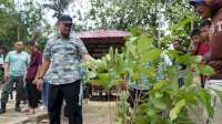 Gubernur Sulsel: Mari ki Hijaukan Lingkungan Selamatkan Bumi