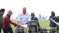 Awali Musim Tanam, Bupati Pinrang Hadiri Mappalili di Patobong