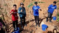Danny Pomanto dan Bima Arya Tanam Pohon Tabebuya di Maros