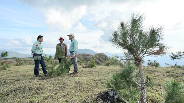 PT Vale Rehabilitasi DAS seluas 10.000 Hektar.