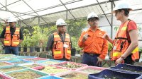 PT Weda Bay Nickel Belajar Good Mining Practices di PT Vale