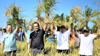 Petani Organik Binaan PT Vale: 11 Kali Panen, Hasil Makin Melimpah