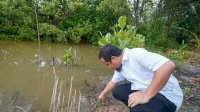Gubernur Andi Sudirman Sharing Terkait Carbon Trading di Kepulauan Riau