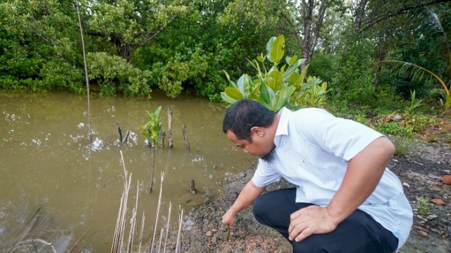 Gubernur Andi Sudirman Sharing Terkait Carbon Trading di Kepulauan Riau