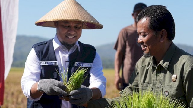 Gunakan Mandiri Benih Andalan, Produksi Padi di Maros Tembus 8,8 Ton per Hektare