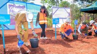 Buktikan Komitmen Keberlanjutan pada Lingkungan, PT Vale Bangun Nursery di Pomala