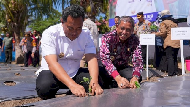 Dokumentasi: Penjabat Gubernur Sulsel, Bahtiar Baharuddin bersama Bupati dan Wakil Bupati Wajo, melakukan penanaman cabai yang merupakan Gerakan Tanam Cabai 10 Pohon 1 ASN dan Gerakan Pengendalian Inflasi, di halaman Kantor Lurah Peneki, Kecamatan Takkalalla, Kabupaten Wajo, Minggu, 24 September 2023.