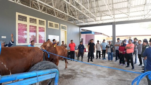 Kunjungan ke Pucak Maros, Bahtiar Dorong Inseminasi Buatan Tingkatkan Populasi Ternak