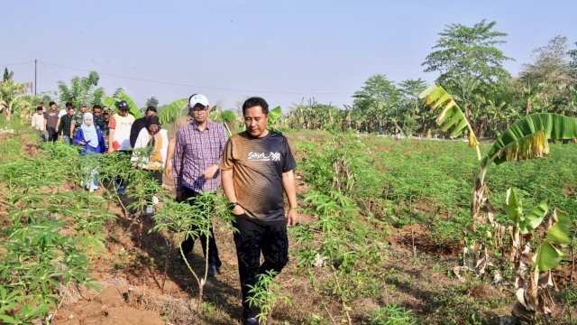Pj Gubernur Tinjau 23 Hektar Lahan Percontohan Budidaya Pisang dan Nanas di Pattallasang Gowa
