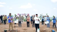 Tanam Bibit Pisang di Sinjai, Bahtiar Dorong Manfaatkan Lahan Kosong untuk Budidaya Tanaman Produktif