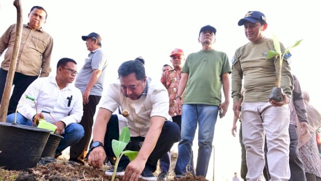 Budidaya Pisang, Pj Gubernur Bahtiar Tanam Perdana di Mare