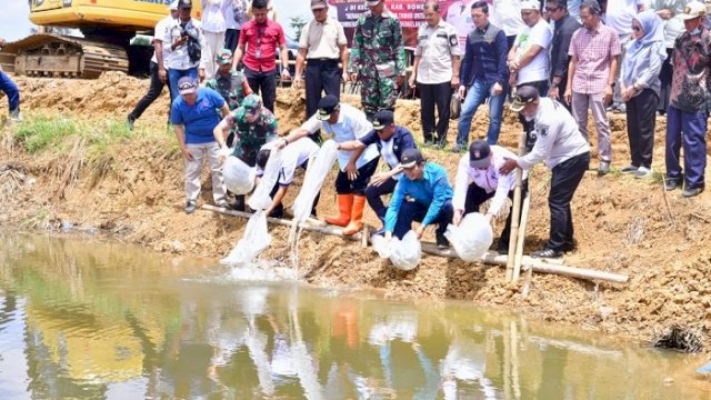 Pj Gubernur Sulsel Lepas 50.000 Benih Nila di Embung Kecamatan Mare