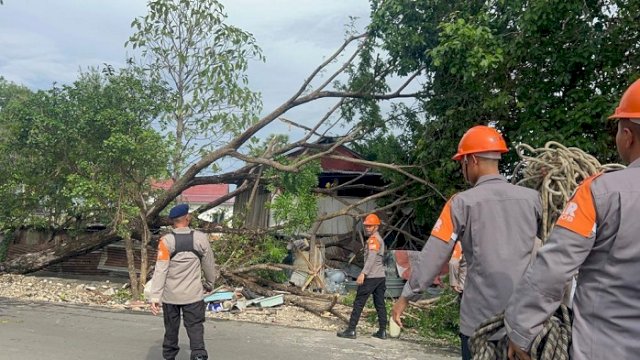 Pohon Tumbang Menimpa Rumah Warga, SAR Brimob Bone Gerak Cepat Lakukan Evakuasi