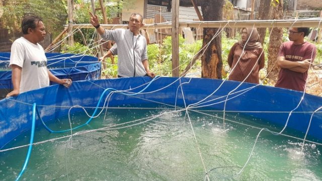 Pj Walikota Parepare Kunjungi Lokasi Budidaya Ikan Air Tawar Warga di Bukit Indah