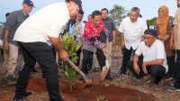 Penanaman Bibit Nangka Madu di Bulukumba, Pj Gubernur: Jangan Biarkan Lahan Kosong